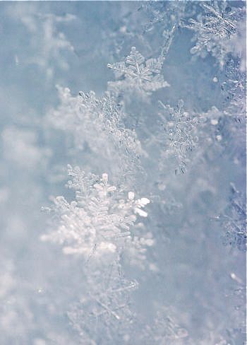 Romeo I Julia, Ice Aesthetic, Holiday Iphone Wallpaper, The Ancient Magus Bride, Light Blue Aesthetic, Christmas Aesthetic Wallpaper, Ice Crystals, Winter Nature, Gambar Figur
