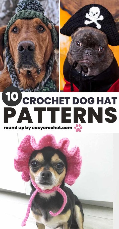 Crochet dog patterns