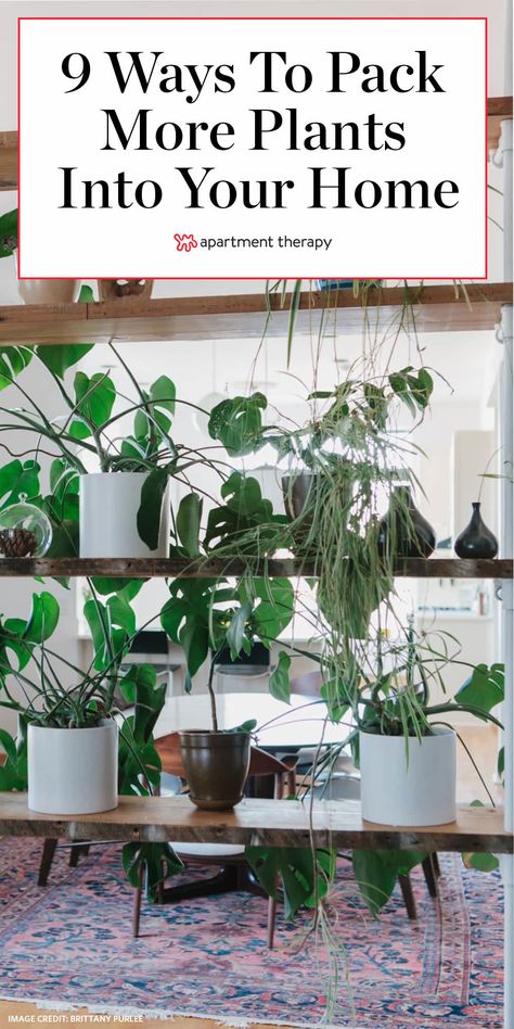 Home Plant Organization, Plant Stand Small Space, Plants Bedroom Wall, Big Plants Small Apartment, Indoor Plants Styling Small Spaces, Indoor Plants Shelves, Apartment Plant Organization, Houseplant Storage Ideas, Plant Decor Small Apartment