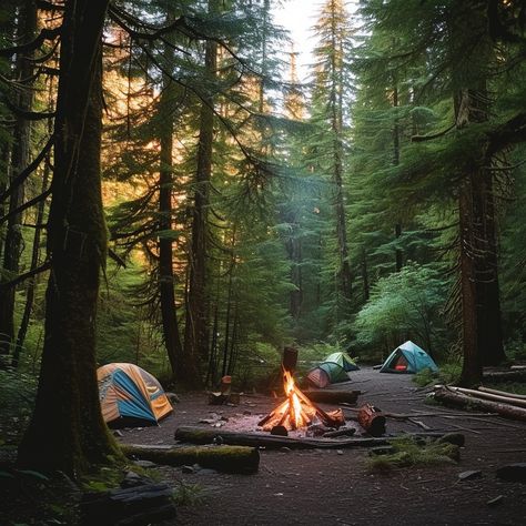 Camping in Woods: Cozy campsite set in a serene forest, with tents pitched and a warm fire crackling. #camping #forest #campfire #tents #woods #nature #outdoor #adventure #aiart #aiphoto #stockcake https://ayr.app/l/4hYT