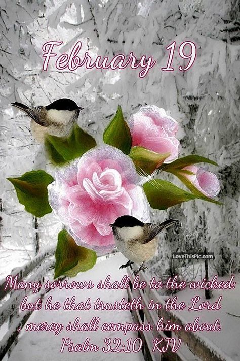 February 19 Pictures, Photos, and Images for Facebook, Tumblr, Pinterest, and Twitter Tumblr, Hello February Quotes, February Images, January Quotes, Words Of Faith, February Quotes, Faith Quotes Inspirational, Birthday Wishes Flowers, Good Morning Happy Sunday