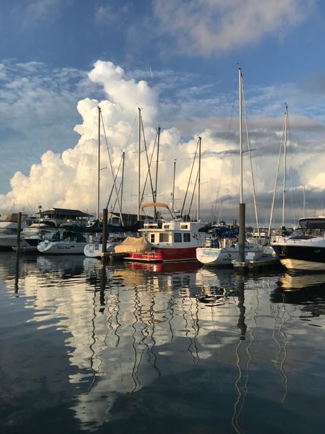 Boat Harbour, Seascapes Art, Art Studio Room, Florida Photography, Composition Art, Water Boat, Watercolor Sea, Ocean Pictures, Boat Art