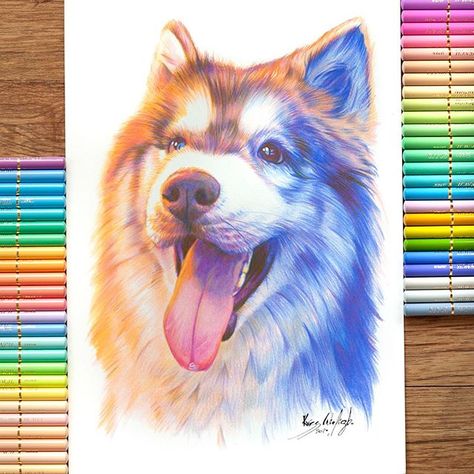 Colour Pencil Animal Drawing, Realistic Animal Drawings Colour, Painting With Pencil Colour, Color Pencil Art Landscape, Realistic Pencil Colour Drawings, Colouring Pencil Art, Pencil Colour Drawings, Pencil Colour Art, Pencil Color Drawing