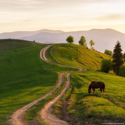 Carpathian mountings , W Ukraine, from Iryna Nautical Aesthetic, Aesthetic Artsy, Futuristic Aesthetic, Aesthetic Dark Academia, Soft Grunge Aesthetic, Belle Nature, Urban Aesthetic, Cyberpunk Aesthetic, Taylor Swift Music