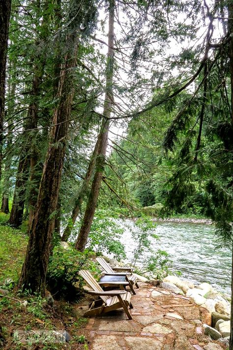 Longer. Creek Dock Ideas, Dock Landscape Design, Small Docks On The Lake Ideas, Creek Side Landscaping, River Beach Ideas, Forest Sitting Area, River Bank Landscaping, River Front Homes, River Side House