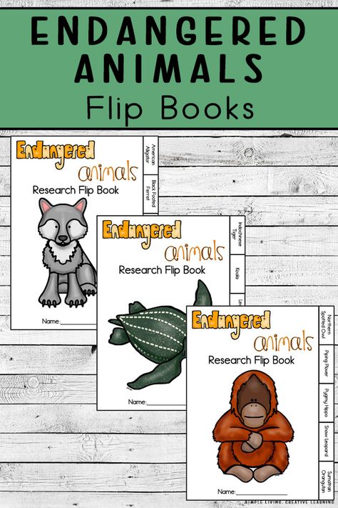 Learn about fifteen different Endangered animals with these three Endangered Animals Flip Books. Endangered Animals Lessons, Endangered Species Activities, Endangered Animals Activities, Animal Adaptations Activities, Endangered Species Project, Endangered Animals Project, Adaptations Activities, Science Corner, Endangered Species Art