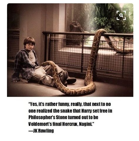 MIND BLOWN!! Hp Facts, Haikou, Hery Potter, Citate Harry Potter, Glume Harry Potter, Images Harry Potter, Potter Facts, Harry Pottah, Cărți Harry Potter