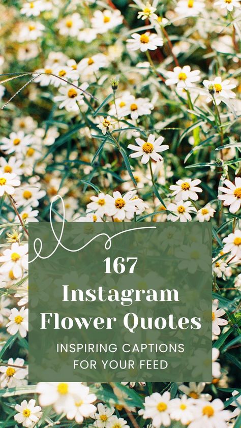 Are you looking for a way to express your love for flowers on Instagram? Look no further! These flower quotes for Instagram will inspire you! Fresh Flower Quotes, Caption For Flowers, Flower Qoutes, Short Flower Quotes, Flower Quotes Life, Flower Captions For Instagram, Flower Quotes Inspirational, Wild Flower Quotes, Floral Quotes