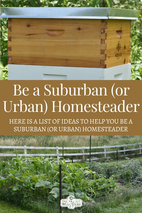 Permaculture, Homestead In The Suburbs, Homestead In Town, Homesteading In Town, Self Sufficient Living For Beginners, Urban Homesteading Backyard Small Spaces, Urban Homesteading For Beginners, Urban Homesteading Ideas, Homestead Urban