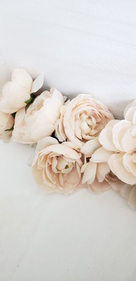 Aesthetic White Flower Wallpaper, Coach Background Wallpapers, Beige And White Aesthetic Wallpaper, Iphone Neutral Wallpaper, Classy Wallpaper Aesthetic, Iphone Wallpaper Fashion, Blush Ranunculus, Neutral Florals, Classy Wallpaper