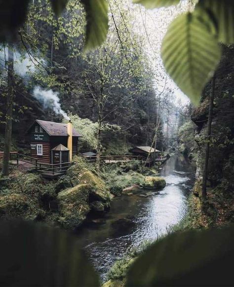 Dreamy cabin on an island - Imgur Supraviețuire Camping, Foto Langka, Forest Cabin, Beautiful Cabins, Cottage In The Woods, Little Cabin, Cabins And Cottages, Forest House, Cabin Life