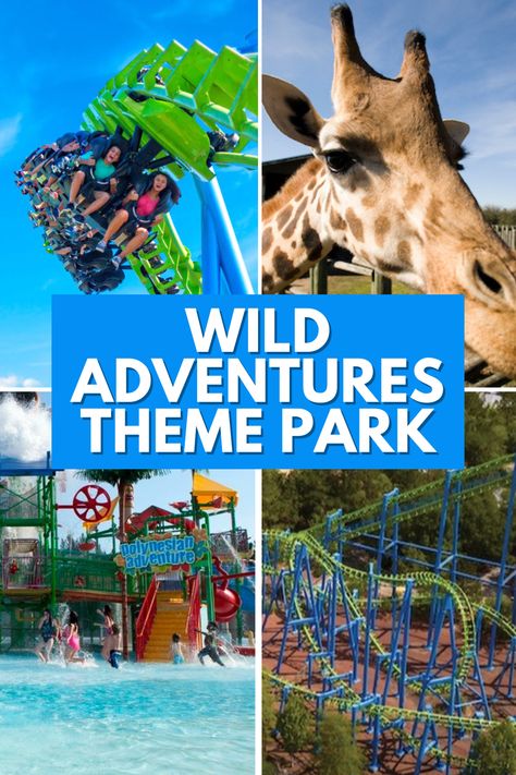 Theme Park Wild Adventures Theme Park, Giant Water Slide, Valdosta Georgia, Summer Prep, Theme Parks Rides, Adventure Theme, Relaxing Travel, Water Parks, Wild Adventures