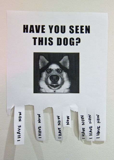Have You Seen