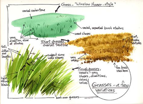 Demo--Grasses | This was done for The Artist's Magazine, yea… | Flickr Watercolour Tips, Croquis, Cathy Johnson, Grass Painting, Watercolor Tips, Watercolor Lessons, Watercolor Projects, Painting Idea, Watercolor Painting Techniques