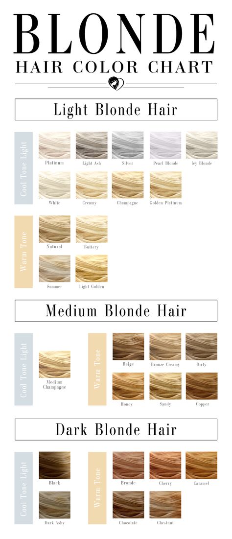 Different Types Of Blonde Hair, Different Types Of Blonde, Types Of Blonde Hair, Types Of Blonde, Champagne Blond, Dark Ash Blonde Hair, Blonde Hair Color Chart, Red Hair Color Shades, Hair Chart