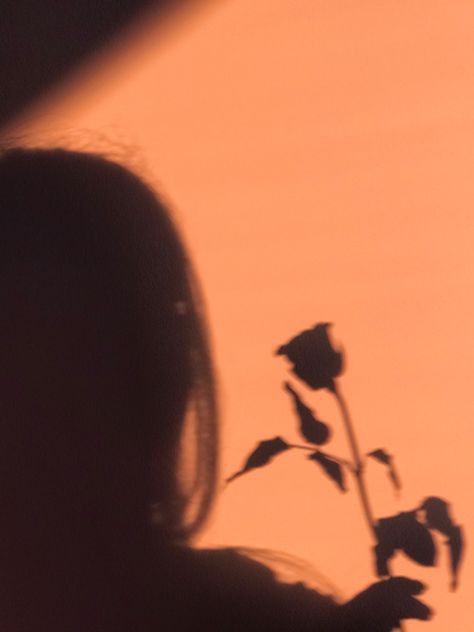 #sunset #photography #rose #shadow #fashion #aesthetic #pretty #pink Flower Shadow Aesthetic, Night Shadow Aesthetic, Shadow Photography Aesthetic, Silhoutte Photography, Maddie Aesthetic, Red + Core + Aesthetic, Shadow Fashion, Morning Aesthetics, Film Noir Photography