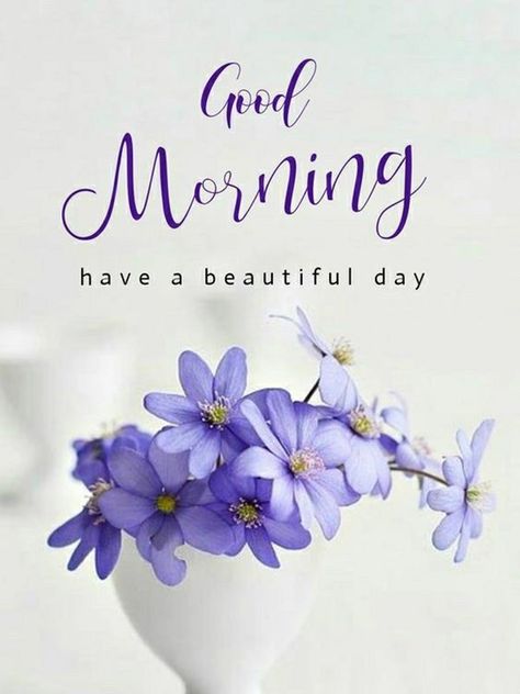 Good Morning Saturday Images with Beautiful Quotes 8 Good Morning Saturday Images, Happy Saturday Images, Saturday Pictures, Good Morning Monday Images, Saturday Images, Daily Wishes, Good Morning Happy Saturday, Good Morning Saturday, Beautiful Good Morning