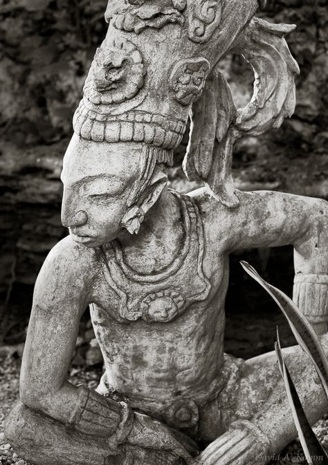 Estatua de un antiguo guerrero maya en un entorno de selva en la región de la Riviera Maya de México . © David A. Kamm Aztec Architecture, Mayan Warrior, Ancient Mexico, Maya Civilization, Maya Art, Mayan Art, Ancient Maya, Mayan Culture, Ancient Mayan