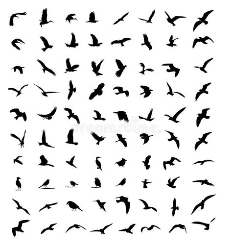 Bird Silhouette Tattoos, Bird Silhouette Art, Small Bird Tattoos, Bird Silhouettes, Little Bird Tattoos, Tiny Bird Tattoos, Ricky Y Morty, Vogel Tattoo, Visuell Identitet