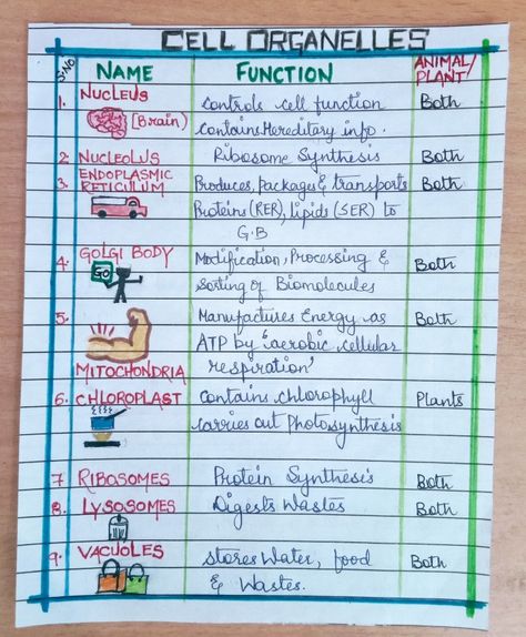 Cell The Unit Of Life Short Notes, Class 11 Biology Notes Cell The Unit Of Life, Fundamental Unit Of Life Notes Class 9, Cell The Unit Of Life Notes For Neet, Cell The Unit Of Life Notes Class 11, Cell The Unit Of Life Notes, Organelles Notes, Cell Organelles Notes, Cell Theory Notes