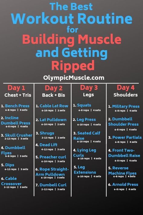 4 Day Workout Split, Total Body Workout Plan, 4 Day Workout, Workout Split, Fitness Studio Training, Bolesti Chrbta, Bodybuilding Workouts Routines, Workout Plan For Men, Gym Antrenmanları