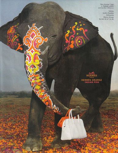 can't help it. i heart elephants. Bodypainting, Hermes Magazine, Hermes Women, Indian Pink, Hermes Orange, Elephant Painting, Indian Elephant, Elephant Love, Elephant Art