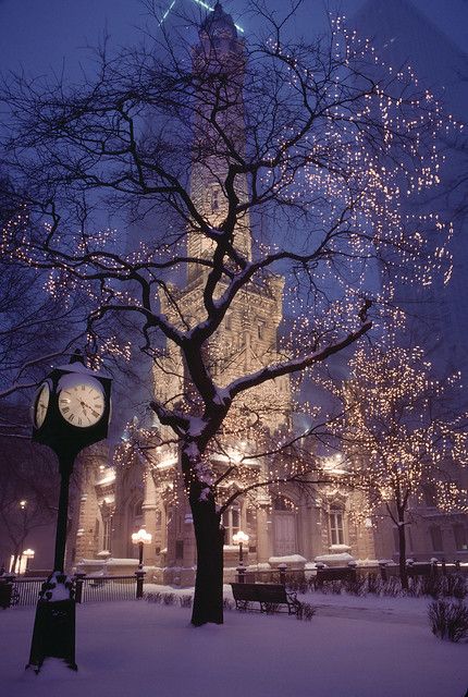 Chicago in Snow | Historic Water Tower Park, Chicago, 1989. … | Flickr Winter Szenen, Beautiful Winter Scenes, Winter Nature, Winter Love, Winter Wallpaper, Winter Scenery, Winter Pictures, Christmas Scenes, Winter Wonder