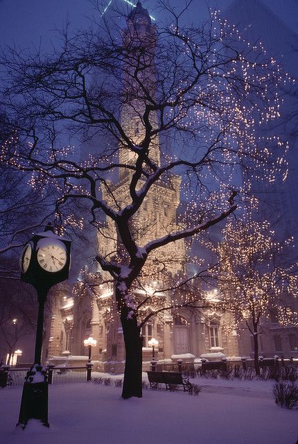 Chicago in Snow | Historic Water Tower Park, Chicago, 1989. … | Flickr Beautiful Winter Scenes, Winter Nature, Winter Love, Winter Wallpaper, Christmas Wonderland, Winter Scenery, Winter Wonder, Winter Pictures, Winter Aesthetic