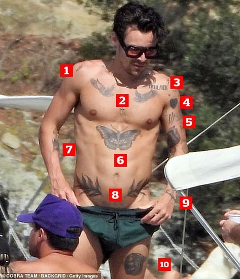 Harry Styles Bulging, Tattoos That Look Like Sketches, Harry Styles Back Tattoo, Harry Styles Bird Tattoo, Harry Styles Arm Tattoos, You Can Let It Go Tattoo Harry Styles, Harry Styles Mermaid Tattoo, Olivia Wilde Tattoo, Harry Styles Chest