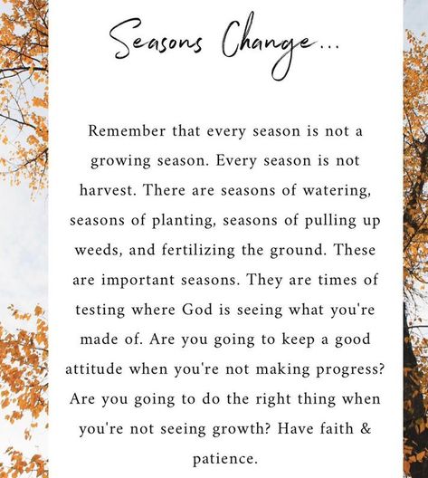 Seasons Change ...  Have faith & patience. Changing Seasons Of Life Quotes, Seasons In Life Quotes Faith, Just A Season Quote Life, Quote About Seasons Of Life, Changing Of Seasons Quotes, Entering A New Season Quotes, Change Of Seasons Quotes Life, November Goals Quotes, Season In Life Quotes