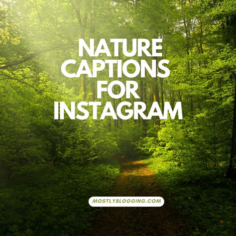 Nature, Surreal Captions For Instagram, Quote Nature Beauty, Nature Photo Dump Captions, Quote About Nature Beauty, Captions For Nature Lover, Nature Post Captions, Captions For Instagram Nature Pics, Woods Captions Instagram