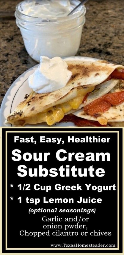 Greek Yogurt Sour Cream Recipe, Sour Cream Alternative, Greek Yogurt Sour Cream, Cream Substitute, Healthy Sour Cream, Sour Cream Uses, Sour Cream Substitute, Make Sour Cream, Make Greek Yogurt