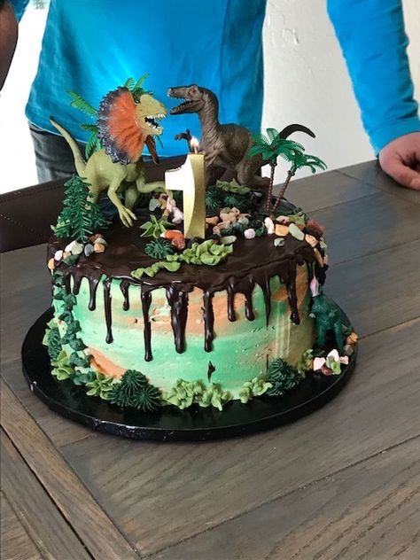 Jurassic Park Smash Cake, 4th Birthday Cakes For Boys, Dinosaur Smash Cake, Dinosaur Pics, Dino Cakes, Dinosaur Birthday Cake, Jurassic Park Birthday Party, Girl Dinosaur Party, Jurassic Park Birthday