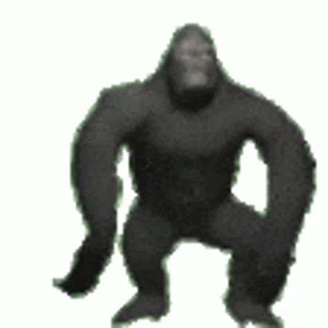 Gorila Sticker - Gorila - Discover & Share GIFs Goofy Ahh Gif, Lewdfroggo Gif, Cursed Gif, Goofy Gif, Silly Gifs, Monkey Gif, Gif Meme, Meme Gifs, Gif Memes