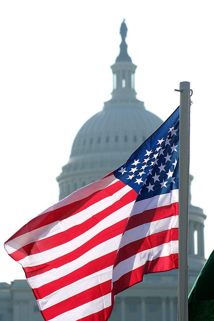 write congressmen, get flag that was flown over U.S. Capitol American State Flags, Usa Flags, Patriotic Pictures, American Flag Wallpaper, Us Flags, Legendary Dragons, Hms Victory, Dark Art Photography, Medical Photos