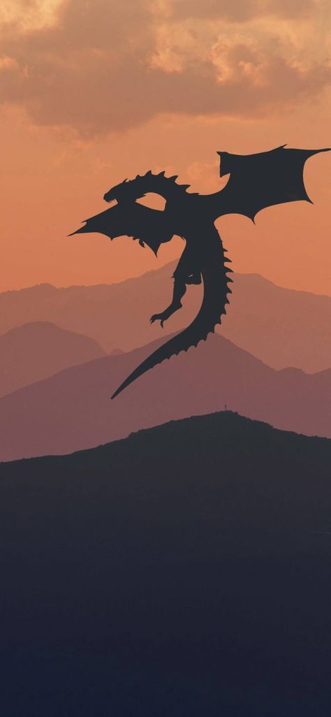 Best Game of Thrones wallpapers for iPhone Drogon Game Of Thrones, Game Of Thrones Tattoo, Game Of Thrones Poster, Trendy Games, Game Of Thrones Costumes, Dragon Wallpaper, Game Of Thones, Game Of Thrones Dragons, Got Game Of Thrones