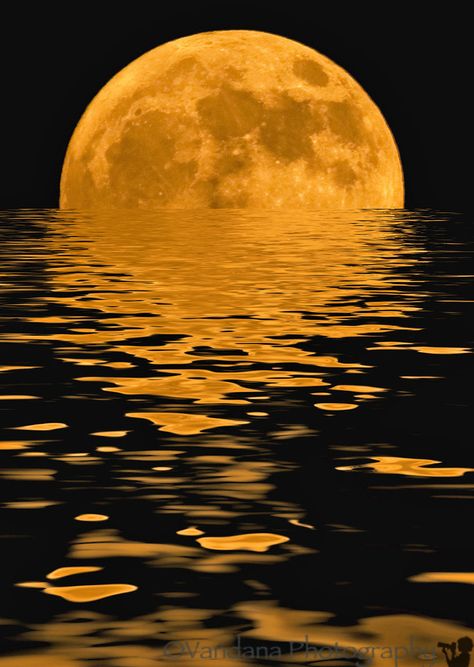 ~~August 18, 2008 - Moonrise on water by Vandana Photography~~ Moon Moon, Moon Goddess, Cer Nocturn, Matka Natura, Shoot The Moon, Moon Pictures, Moon Rise, Beautiful Moon, Harvest Moon
