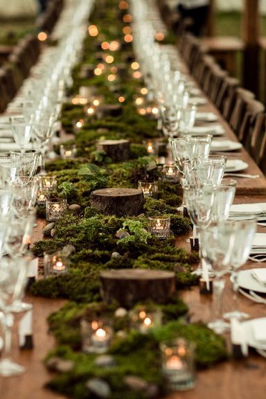 Forest Wedding Decor, Shrek Wedding, Enchanted Forest Wedding Theme, Hobbit Wedding, Lotr Wedding, Cottagecore Wedding, Forest Theme Wedding, Enchanted Forest Wedding, Viking Wedding