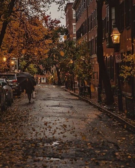 ☕️ on Twitter: "fall weather 🍂☔️… " Fotografi Kota, Tapeta Pro Iphone, Dark Academia Aesthetic, Autumn Cozy, Academia Aesthetic, Best Seasons, Autumn Aesthetic, We Fall In Love, Fall Wallpaper