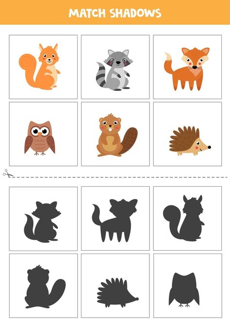 Forest Animals Preschool, Forest Preschool, Forest Animal Crafts, Shadow Activities, Animals Cards, Kindergarden Activities, Preschool Activities Toddler, Math Games For Kids, Baby Learning Activities