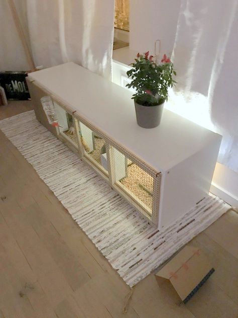 DIY rabbit house from IKEA KALLAX Diy Pour Lapin, Diy Bunny Cage, Indoor Rabbit House, Diy Rabbit Cage, Indoor Rabbit Cage, Rabbit Hutch Indoor, Diy Rabbit Hutch, Diy Guinea Pig Cage, Rabbit Enclosure