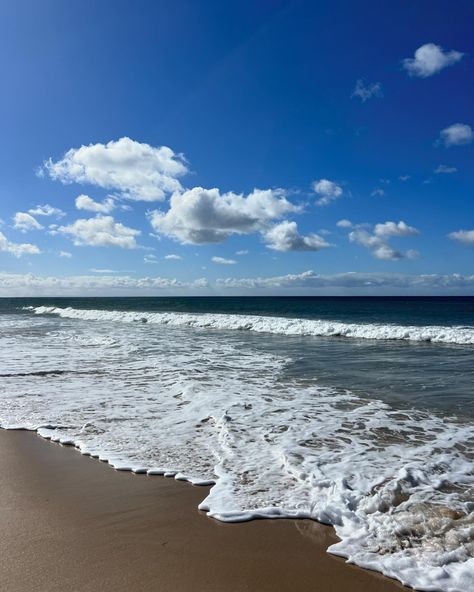 Sundays are the days to share with you the best of Almar’s week 🤭🤍🌸 #beach #sesimbra #almar #inspiration #relax #therapy Shells On The Beach, Collecting Shells, There Are No Words, Time To Relax, Take A Photo, Whole Heart, Sleepless Nights, Words To Describe, Yet To Come