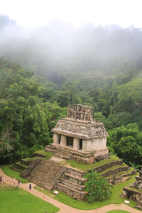 Tikal, Incan Architecture, Mayan Architecture, Mayan Temple, Architecture Antique, Maya Ruins, Temple Ruins, Mayan Culture, Ancient Mayan