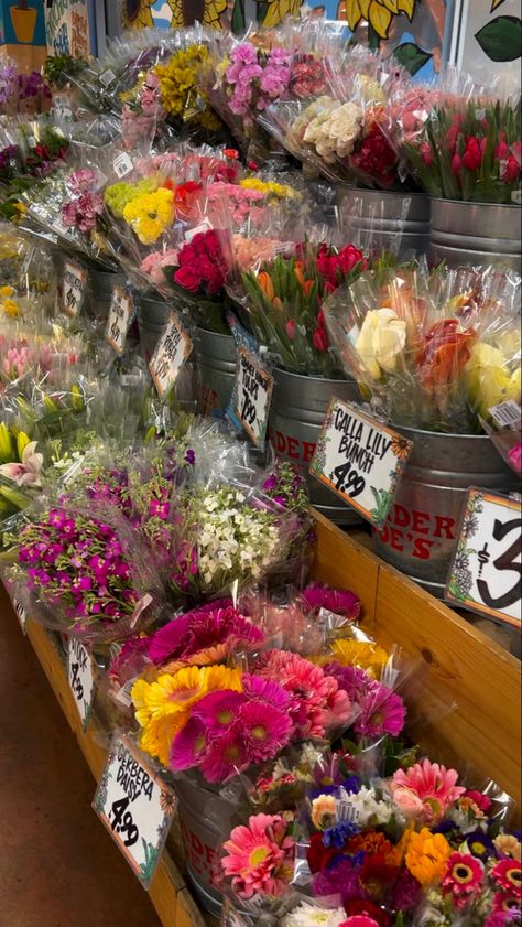 Nature, Flowers Grocery Store, Flowers From Trader Joes, Guy Buying Flowers, Flowers Bouquet Trader Joes, Grocery Store Flowers Aesthetic, Buy Yourself Flowers Aesthetic, Getting Flowers Aesthetic, Buying Myself Flowers Aesthetic