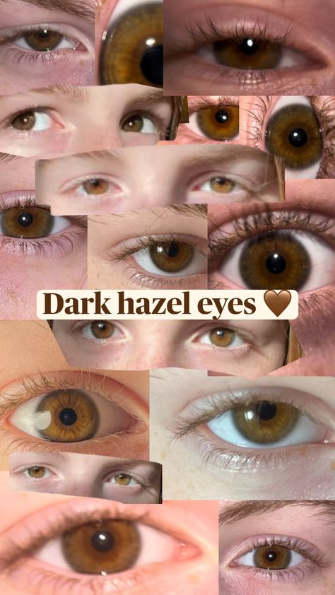 this is a dark hazel/light brown eyes appreciation post 🤎 #lightbrowneyes #darkhazeleyes #browneyes #hazeleyes Brown Eyes, Dark Hazel Eyes, Pingu Pingu, Hazel Brown Eyes, Light Brown Eyes, Autumn Skin, Appreciation Post, Hazel Eyes, Pretty Eyes