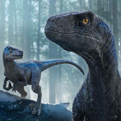 Jurassic World Raptors, Jurassic World Wallpaper, Blue Jurassic World, Jurassic World 3, Raptor Dinosaur, Jurassic World Dominion, Dinosaur Images, Dinosaur Pictures, Jurassic World Fallen Kingdom