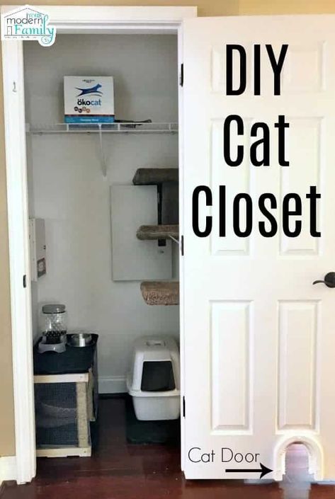 Cat Room Diy, Converted Closet, Pet Spaces, Cats Diy Projects, Cat Playground, Cat Enclosure, Animal Room, Cat Door, Cat Box