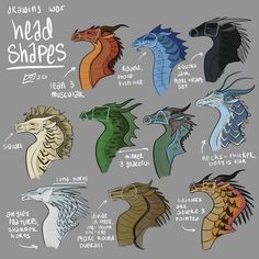 550 Wings of fire ideas in 2022 | wings of fire, wings of fire dragons, fire art Drawing Tips And Tricks, Fire Wings, Local Cryptid, Fire Ideas, Dragon Poses, Dragon Anatomy, Types Of Dragons, Fire Drawing, Story Drawing