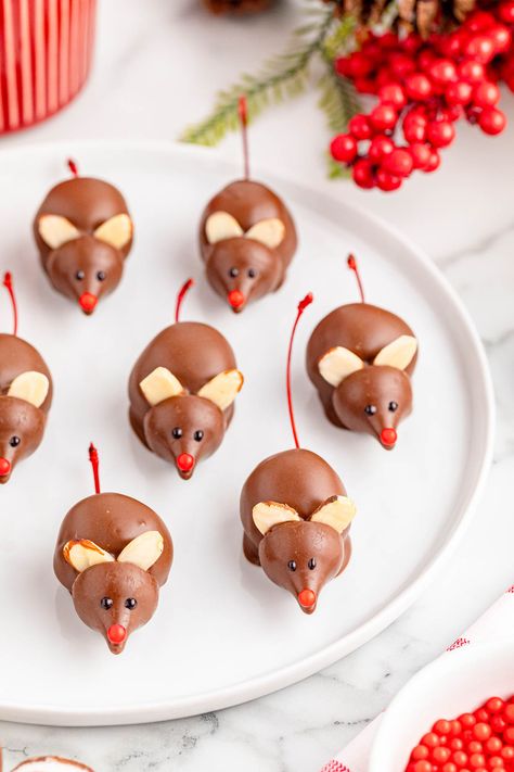 These adorable Chocolate Christmas Mice feature maraschino cherries wrapped in sweet almond dough and dipped in creamy milk chocolate. With bright red noses and cute little eyes, these whimsical treats are perfect for holiday festivities. Halloween Foods, Cherry Mice, Chocolate Dipped Cherries, Christmas Dinner Desserts, Christmas Donuts, Chocolate Mouse, Christmas Mice, Chocolate Melting Wafers, Maraschino Cherries