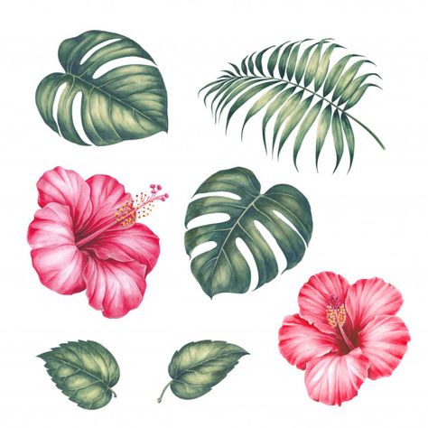 Hibiscus Drawing, Tropical Flower Tattoos, Hibiscus Flower Drawing, Hibiscus Leaves, Floral Tree, Herz Tattoo, Frida Art, Palm Tree Leaves, Cat Air